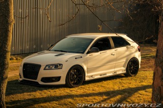 Audi S3 STAGE 3 TTE480 KWV3