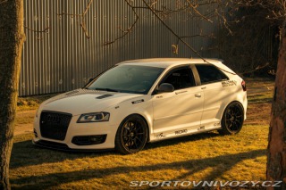 Audi S3 STAGE 3 TTE480 KWV3 2009