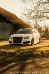 Audi S3 STAGE 3 TTE480 KWV3 2009
