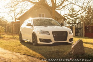 Audi S3 STAGE 3 TTE480 KWV3 2009