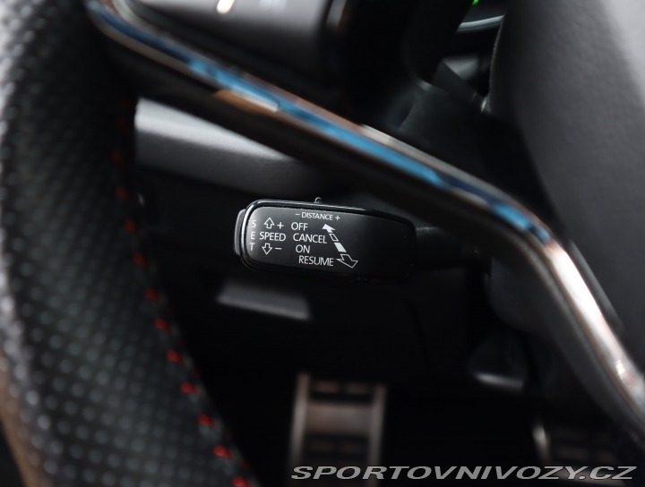 Škoda Octavia RS RS RS 2.0 TDI 4x4 2023