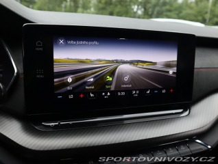 Škoda Octavia RS RS RS 2.0 TDI 4x4 2023