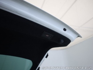 Škoda Octavia RS RS RS 2.0 TDI 4x4 2023