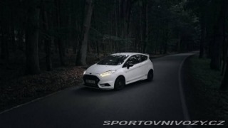 Ford Fiesta ST Fiesta st180 2014