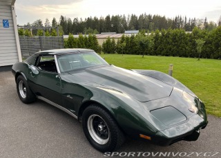 Chevrolet Corvette Stingray Targa