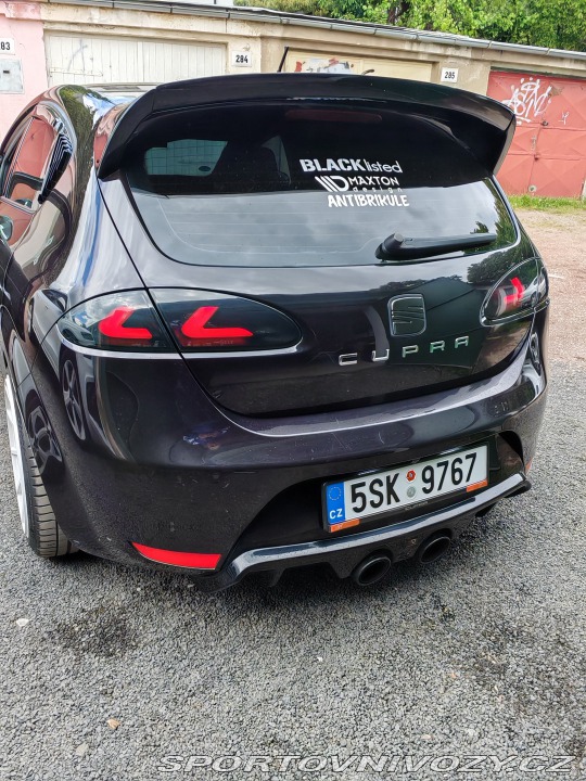 Seat Leon Cupra 2007