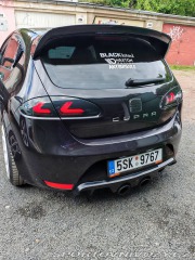 Seat Leon Cupra 2007