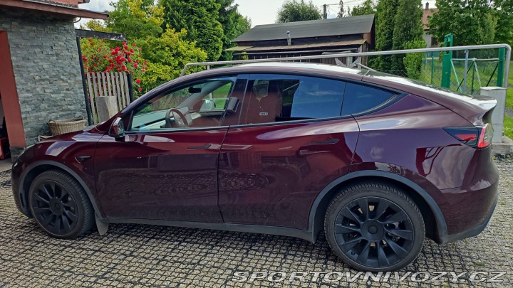 Tesla Model Y  2023