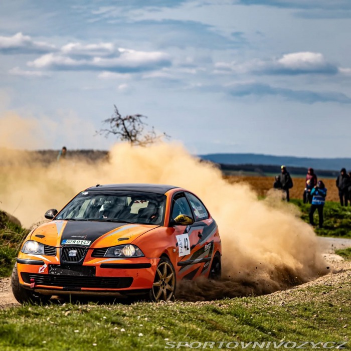 Seat Ibiza Tdi Rally