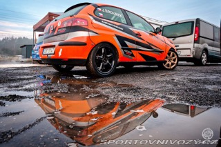Seat Ibiza Tdi Rally 2002