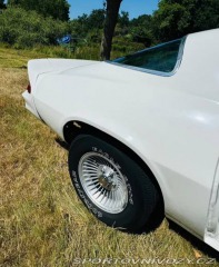 Chevrolet Camaro 5.7 AUT 1982