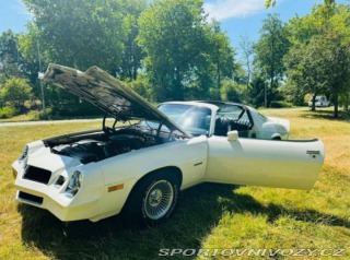 Chevrolet Camaro 5.7 AUT 1982