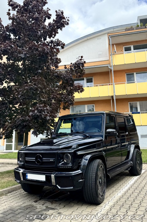 Mercedes-Benz Ostatní modely G 2013