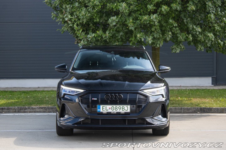 Audi Ostatní modely E-tron 50 S-line /aj na splátky 2019
