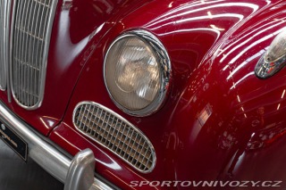 BMW 5 501 1955
