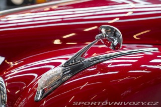 BMW 5 501 1955