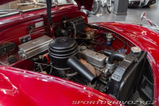 BMW 5 501 1955