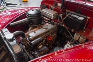 BMW 5 501 1955