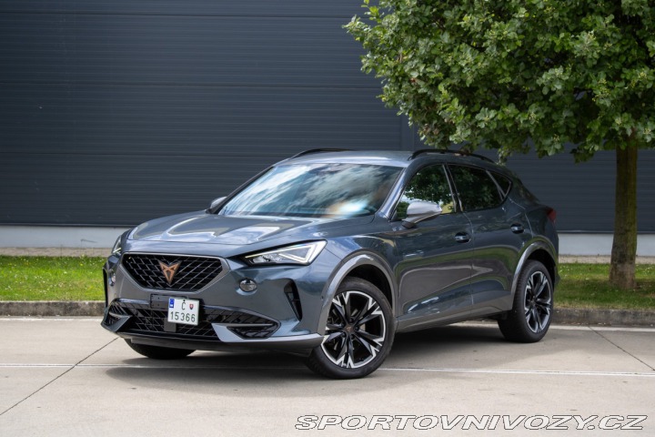 Cupra Formentor 2.0 TDi 4drive DSG /aj n 2023