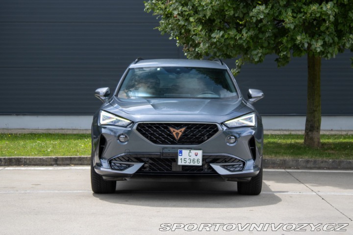 Cupra Formentor 2.0 TDi 4drive DSG /aj n 2023