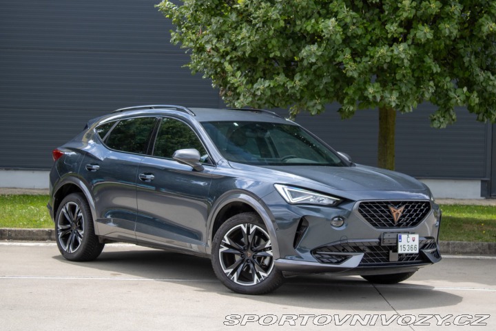 Cupra Formentor 2.0 TDi 4drive DSG /aj n 2023