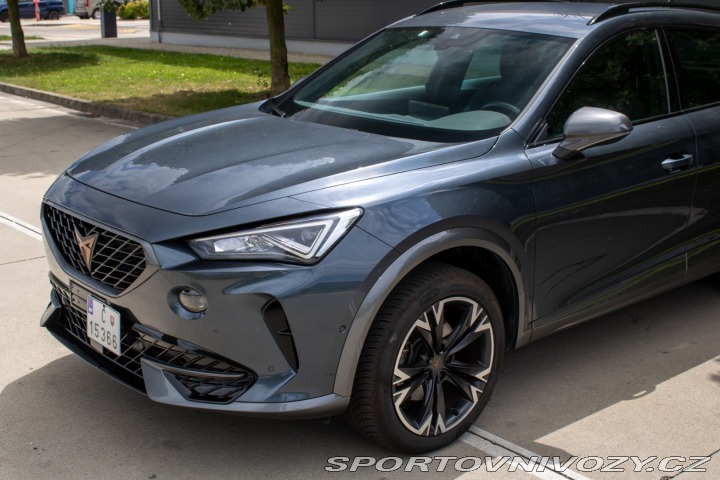 Cupra Formentor 2.0 TDi 4drive DSG /aj n 2023