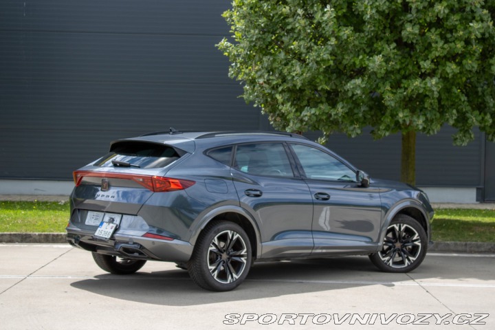 Cupra Formentor 2.0 TDi 4drive DSG /aj n 2023
