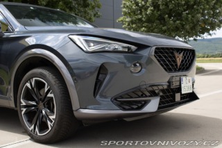 Cupra Formentor 2.0 TDi 4drive DSG /aj n 2023
