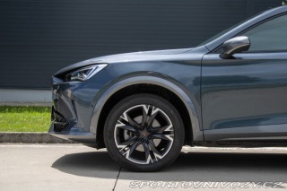 Cupra Formentor 2.0 TDi 4drive DSG /aj n 2023