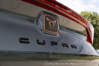 Cupra Formentor 2.0 TDi 4drive DSG /aj n 2023