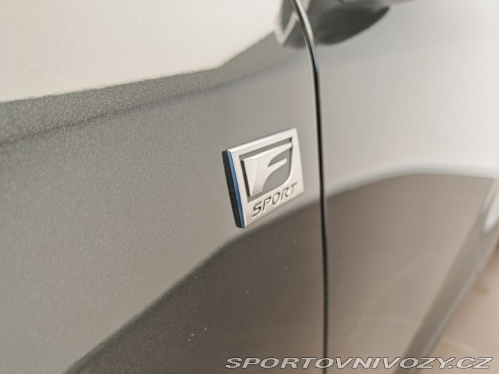 Lexus Ostatní modely RX 2,4 500h F SPORT Plus  50 2023