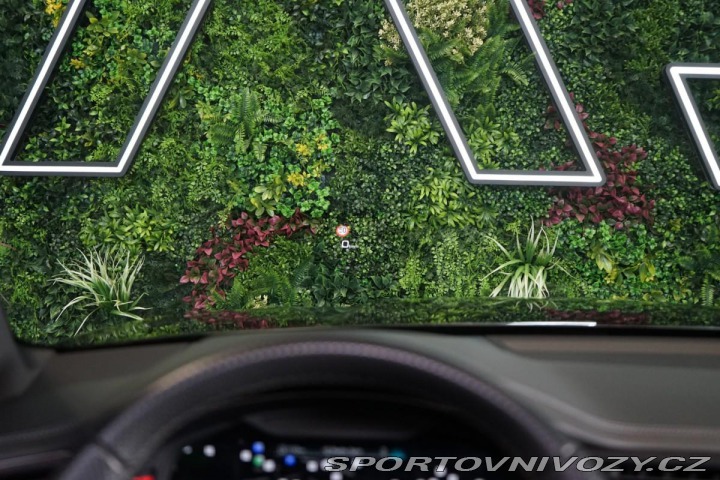Audi RS6 AVANT*PANO*DRC*B&O*CE 2021
