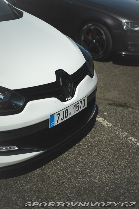 Renault Mégane III RS cup 265 2014