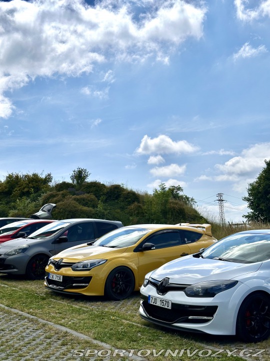 Renault Mégane III RS cup 265 2014