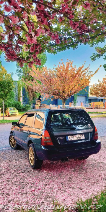Subaru Ostatní modely XT 2.5  306hp 2005