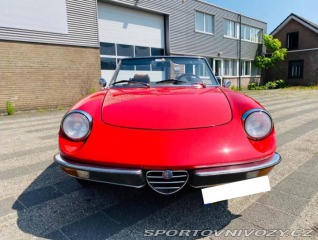 Alfa Romeo Spider 2.0 Veloce Coda Tronca 1983