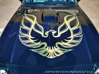 Pontiac Trans Am Firebird 1974