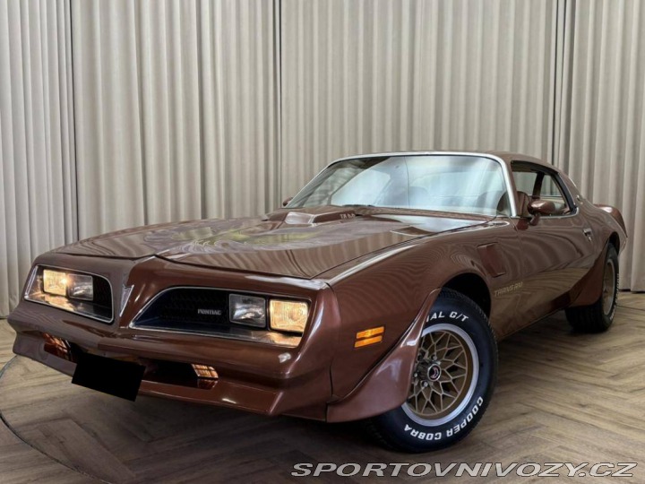 Pontiac Firebird TRANS AM T/A 6.6 1978
