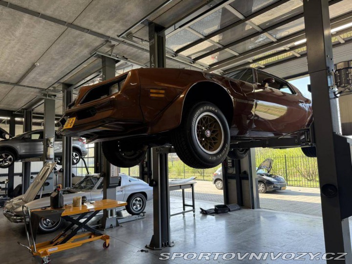 Pontiac Firebird TRANS AM T/A 6.6 1978