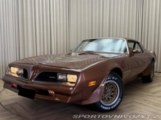 Pontiac Firebird TRANS AM T/A 6.6 1978