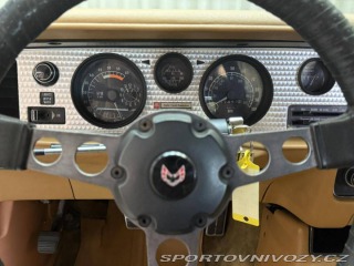 Pontiac Firebird TRANS AM T/A 6.6 1978
