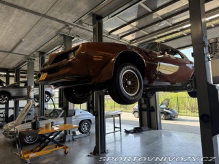 Pontiac Firebird TRANS AM T/A 6.6 1978