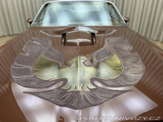 Pontiac Firebird TRANS AM T/A 6.6 1978