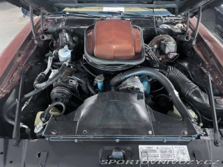 Pontiac Firebird TRANS AM T/A 6.6 1978