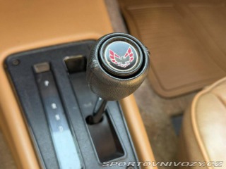 Pontiac Firebird TRANS AM T/A 6.6 1978