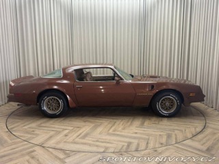 Pontiac Firebird TRANS AM T/A 6.6 1978