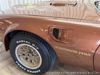 Pontiac Firebird TRANS AM T/A 6.6 1978