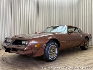 Pontiac Firebird TRANS AM T/A 6.6 1978