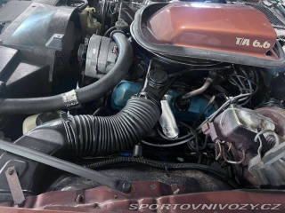 Pontiac Firebird TRANS AM T/A 6.6 1978