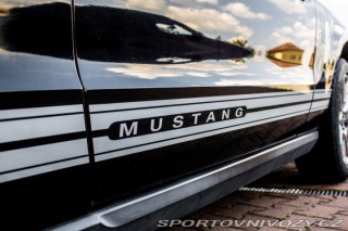 Ford Mustang 4.0L V6 2010